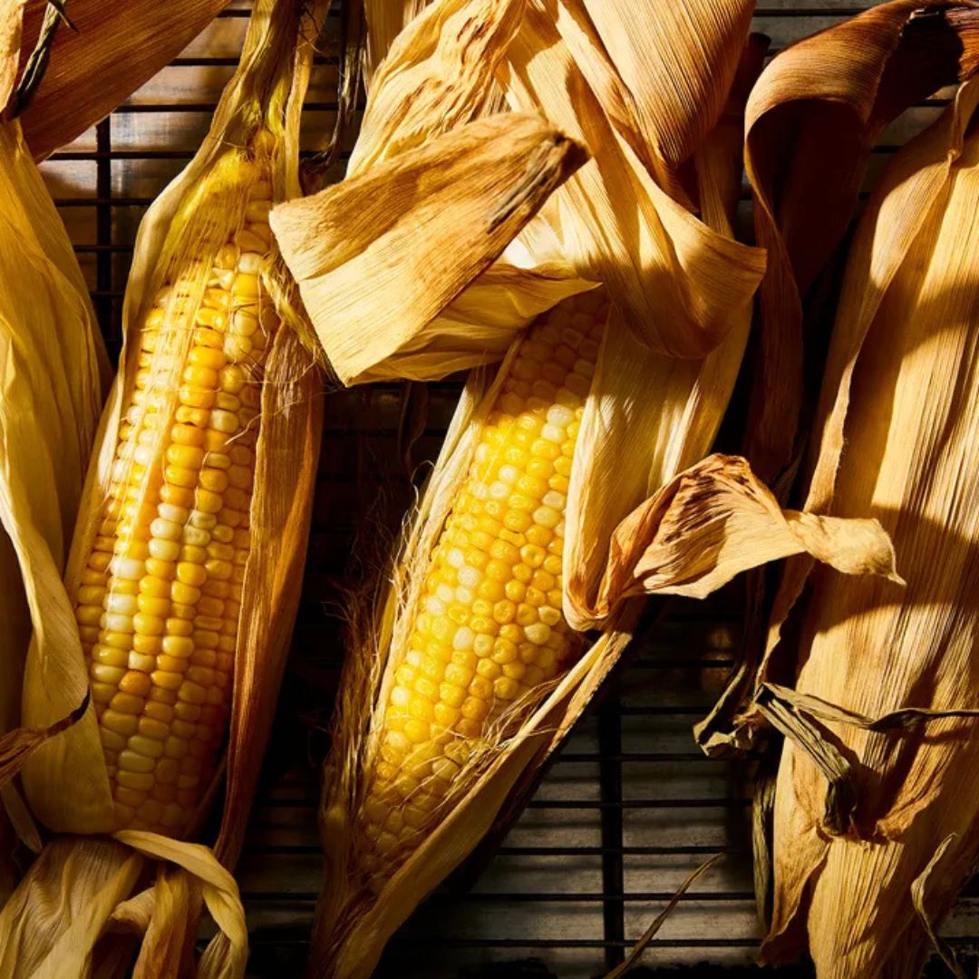OvenRoasted Corn on the Cob FoodShare South Carolina
